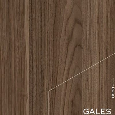 Galés